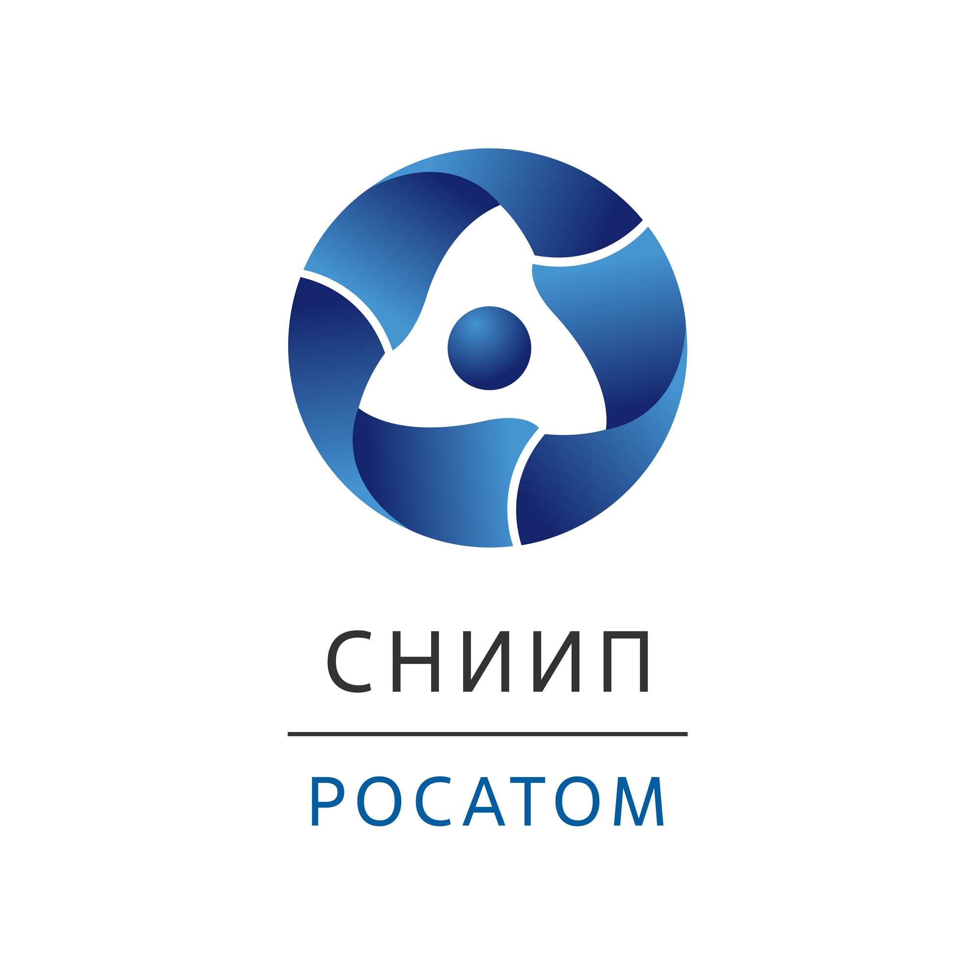 Акционерное общество «Специализированный научно-исследовательский институт приборостроения» (АО «СНИИП»)